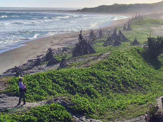 國立 Sigatoka 沙丘公園的撮羅子（Teepee）旨在減緩風沙侵蝕。