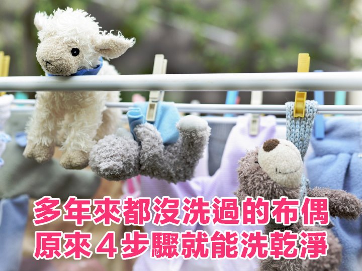 Stuffed toys 多年來都沒洗過的布偶  原來 4 步驟就能洗乾淨