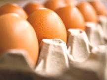 Eggs 雞蛋生熟營養有差？「最佳吃法」吸收率 99％1742838882