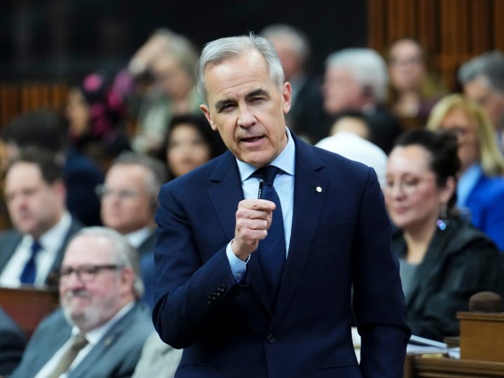 聯邦自由黨在下議院大獲全勝已經獲得多數議席