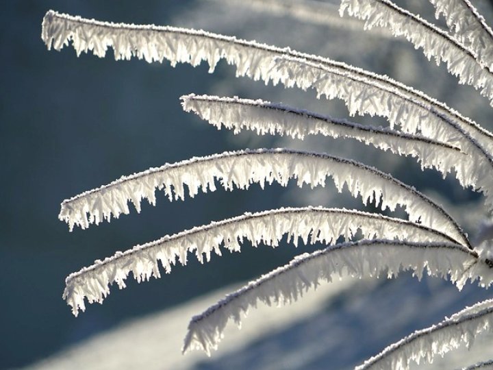 大溫地區本周末氣溫下降 但不會下雪