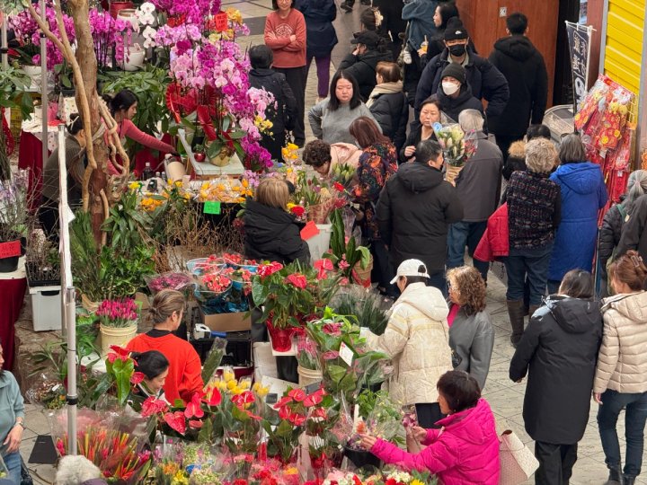 大溫最大年宵花市檔主稱今年銷情理想