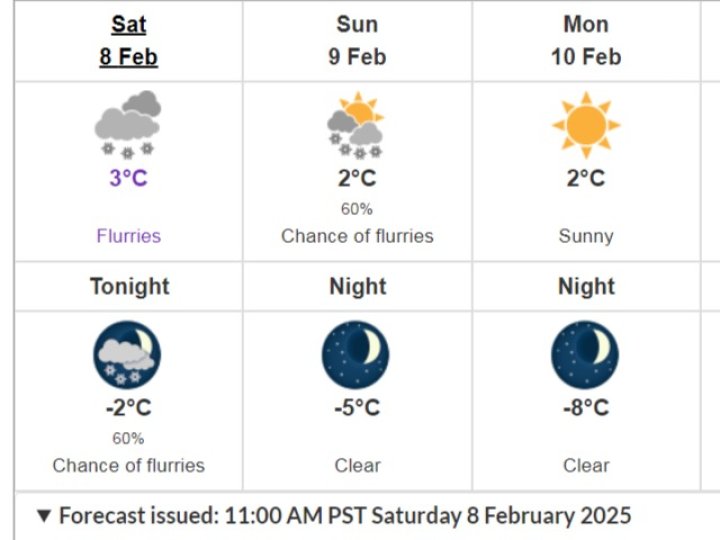 環境部預計BC省將迎來更多降雪