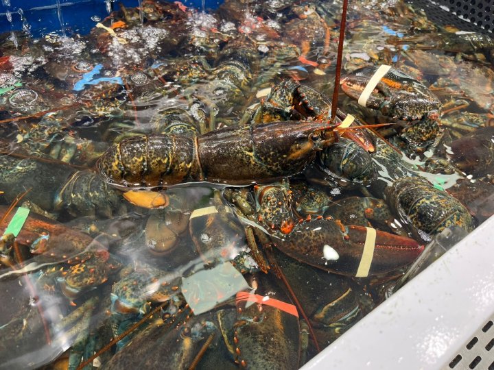 卑詩農業廳長布嫻妮聯同業界出席2026年北美海鮮博覽會