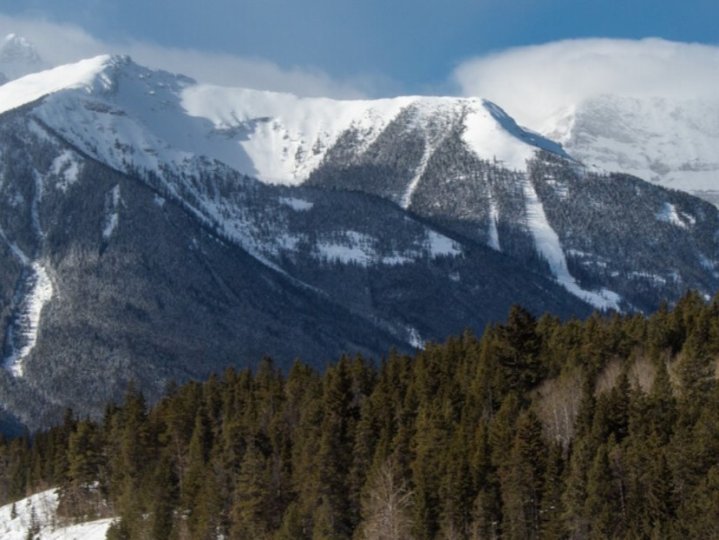 高貴林市一條河溪有不明白色物質出現於水中