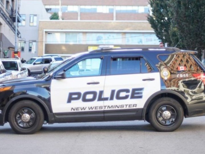 二埠有狗公園疑似出現手榴彈   警方證實是手榴彈形狀的打火機